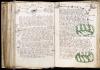 Mystisk Voynich-manuskript Beskrivelse av Voynich-manuskriptet