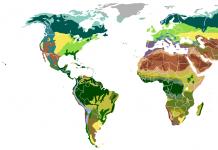 Opis a vlastnosti lesostepnej prírodnej zóny