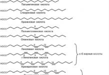 Processus de synthèse des lipides Voie des monoacylglycérides de formation de TAG